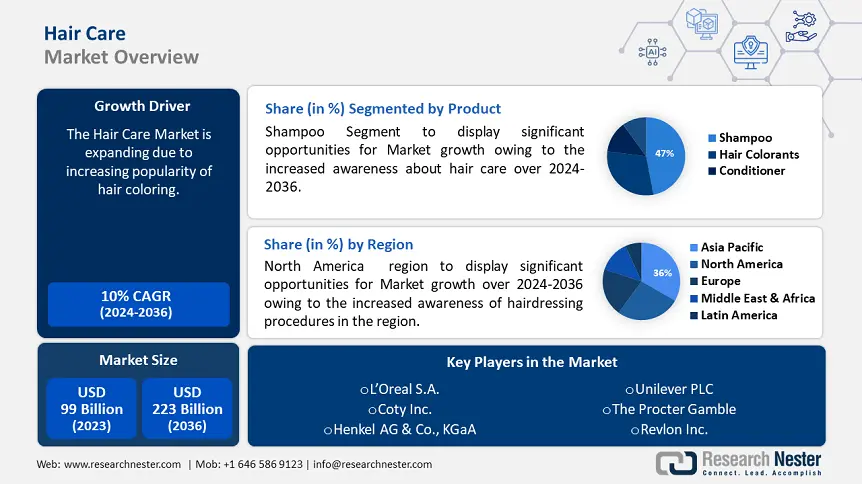 Hair Care Market overview